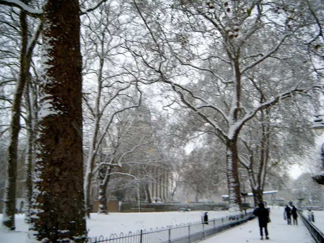  Esperienze di Vita degli Individui Neri in Cina