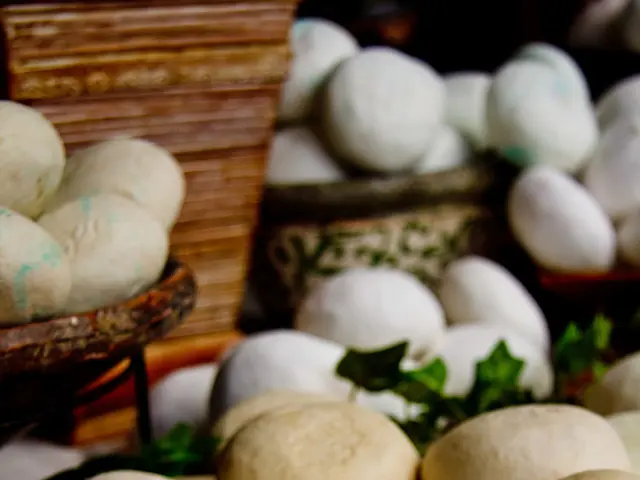 Allarme per i possibili rischi per la salute delle lavorazioni di pietra artificiale porta a...