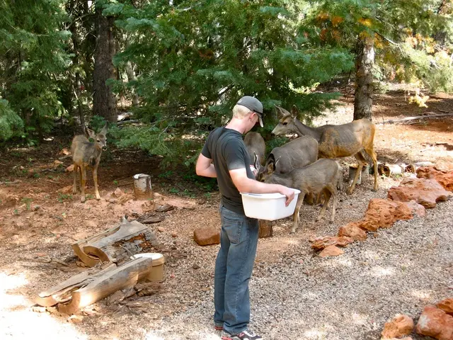 Tracce indelebili di ricordo avverso