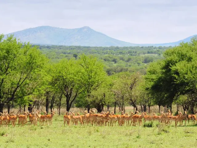 Organizzazioni preparatorie che si preparano per un altro Evento Chiassoso
