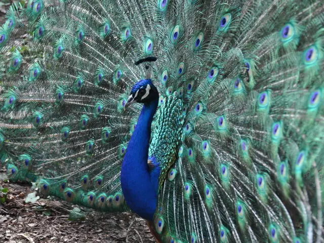 Discussione su Talking Gardens Podcast Features Nigel Dunnett