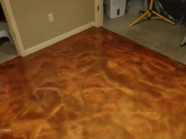 L'Unione Europea dovrebbe guidare la politica dell'immigrazione, secondo Knaus