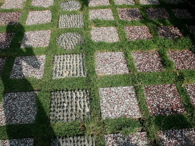 Dovrebbe il Ciclismo con Ghiaccio Considerare l'adozione delle Strategie di Selezione degli...