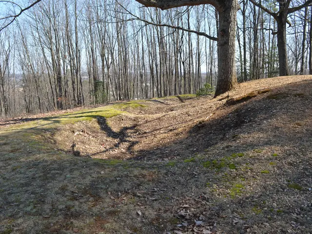 È attualmente consentita o proibita la pratica di strutto?