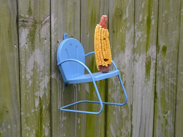 JCB elabora in modo straordinario 200 tonnellate metriche di mais all'ora.