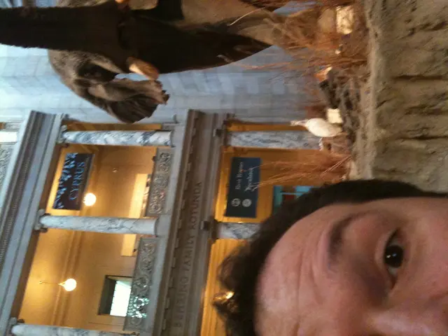 Presentiamo Sarah Harrelson, la visionaria lungimirante che guida Cultured Magazine in qualità di...