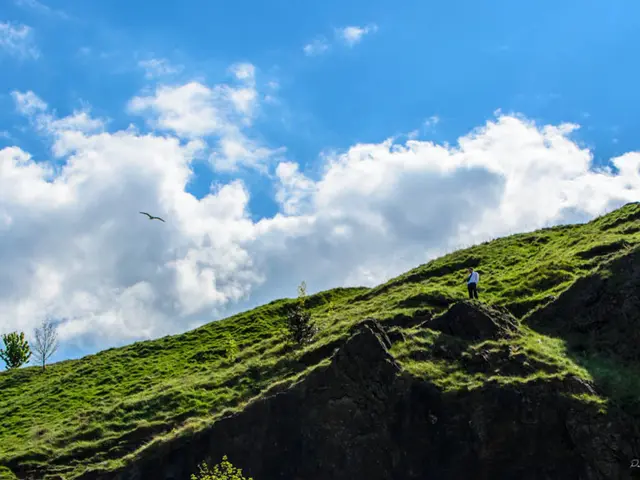 Mistero delle Highlands scozzesi: Ricerca urgente ripresa per il camminatore scomparso Ian Ross,...