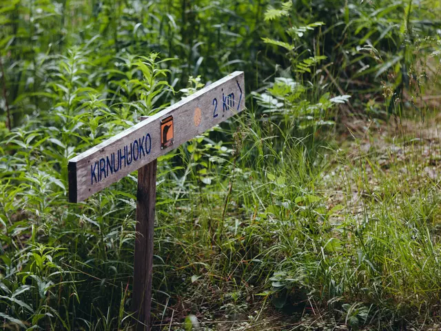 La tecnologia della blockchain verde acquista slancio con la partnership tra INTO e EcoCreds, con...