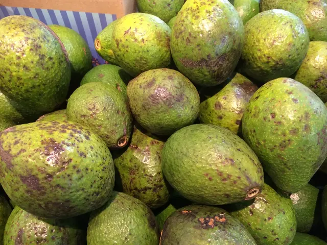 Razzi alle frontiere di immigrazione, capeggiati dal Presidente Trump, hanno ricevuto il sostegno...