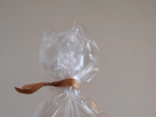 Trasformazione guidata da funghi nei rifiuti di pannolini usa e getta: un cambiamento tranquillo ma...