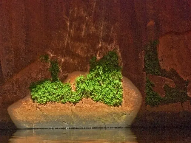 Tentativi di proteggere l'impianto di trattamento acqua di una città dagli attacchi cibernetici...