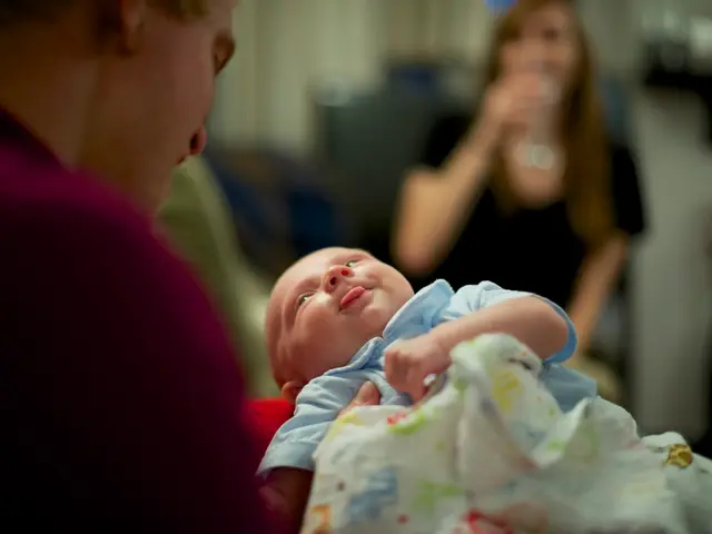 Metodo di trattamento della fertilit√†: esplorato il surrogato