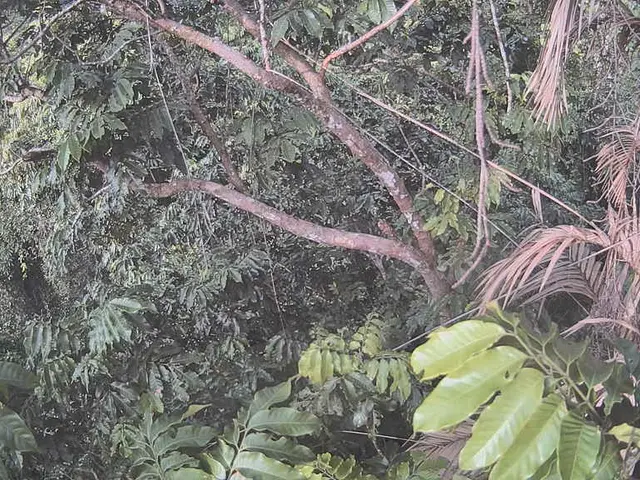 Filippine guida la strategia regionale per espandere la finanza mista in qualità di Presidente...