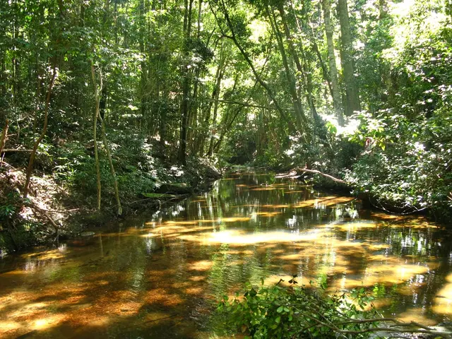 L'affermazione del Dipartimento di Stato degli Stati Uniti sul libero transito per le navi...