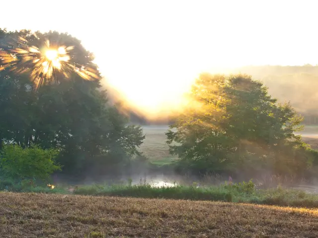 Effetti della siccità sui contenuti di umidità dell'atmosfera