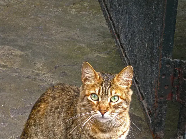 Aeroporto internazionale di Delhi, Indira Gandhi, per attivare la pista 10/28 il 16 settembre -...