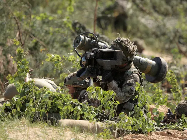 Due soldati hanno incontrato la loro fine durante uno scontro a Kulgam, Jammu e Kashmir, durante...