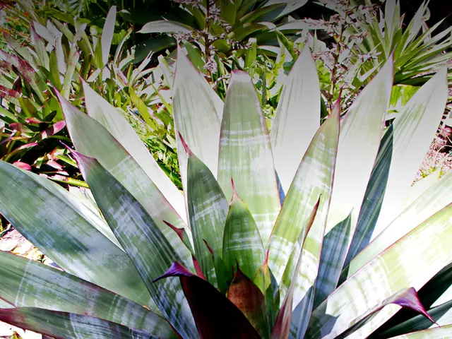 Aumentata Efficienza nella Photosintesi Enzimatica da Chimici del MIT