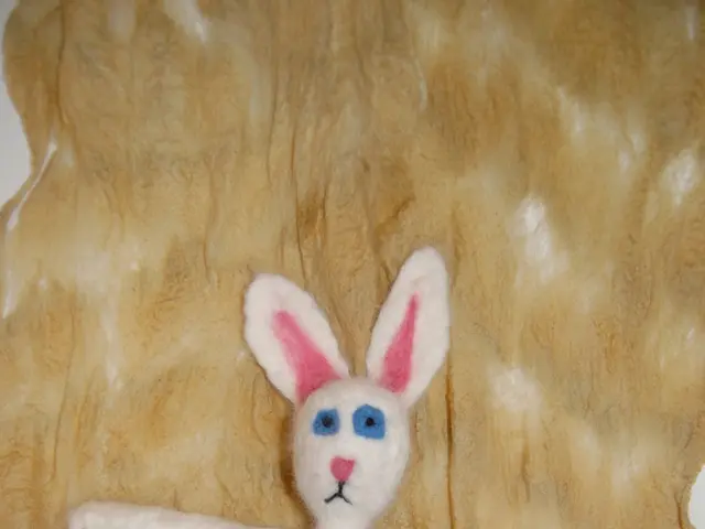 Giochi per Cani più Robusti per il 2025: I Giochi per Cane più vincenti per masticatori insistence