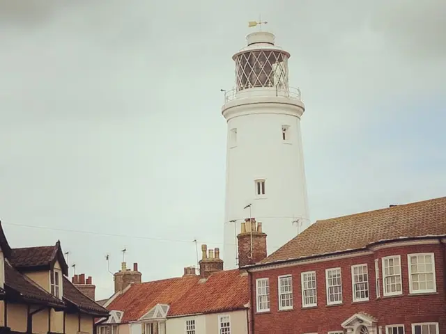 Comunità di Fort Greene critica la proposta di grattacielo per l'impatto potenziale su un parco di...