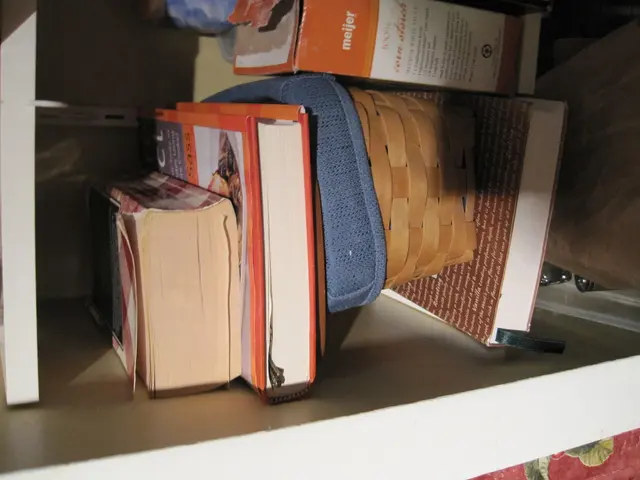 Oggetti per la casa da esplorare per chi è confinato indoors e travolto dal disordine, più...