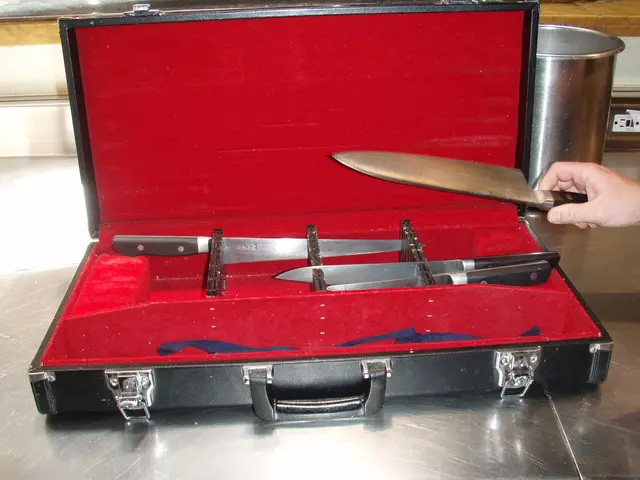 Processo in Nuova Zelanda per la madre sudcoreana accusata di omicidio dei propri figli, noto come...