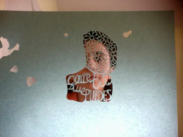 Democratici negli Stati Uniti presentano una presunta lettera di compleanno scritta da Trump per...