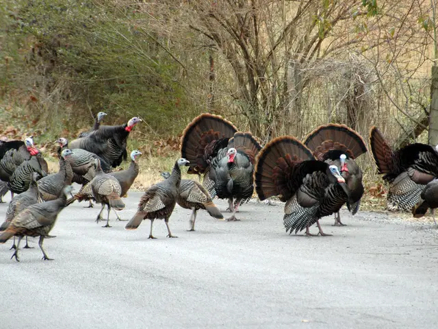 Luoghi divertenti nella Baia Orientale per bruciare calorie dal cenone del Ringraziamento (2024)