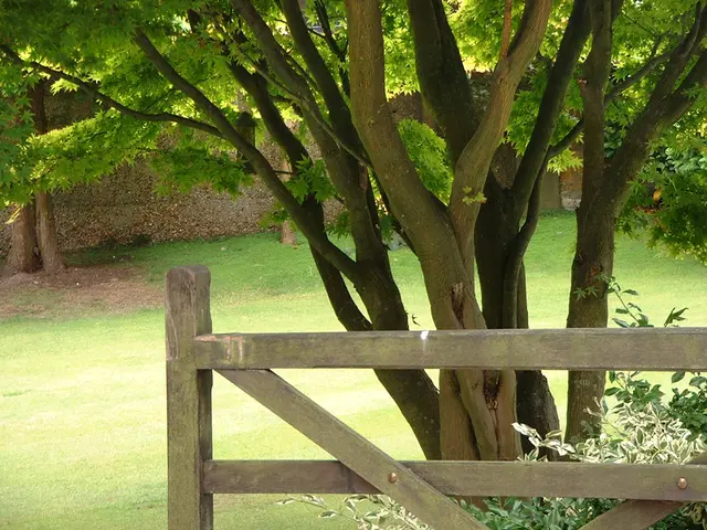 Le autorità locali stanno alterando lo status dei villaggi in città nel tentativo di evitare i...