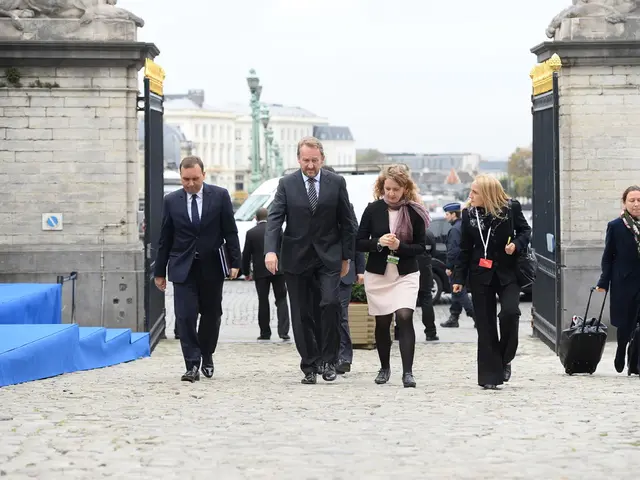 Agenzie di ex dipendenti federali istituiscono piattaforme online per aiutare i burocrati...