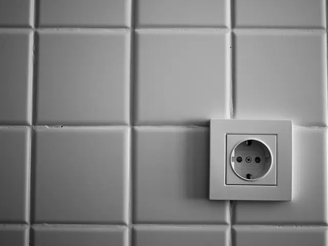 Regolamenti per i visti verificati assegnati dal Dipartimento di Stato per turisti stranieri,...