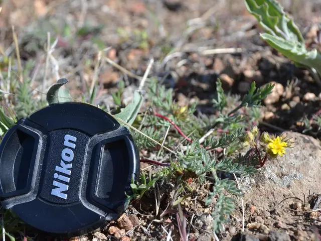 Tecniche per Creare Strisce sull'erba mediante Rasatura