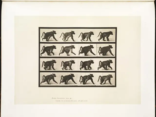 Curiosità Affascinanti Svelate: Spunti Inusuali sul Regno Animale, il Cosmo, il Passato Umano e gli...