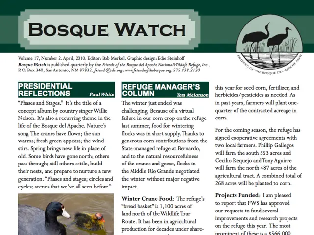 Gabbiani Scavenger Frequentano Siti di Rifiuti, T Spiaggias e Passeggiate, Spesso Causando Un...