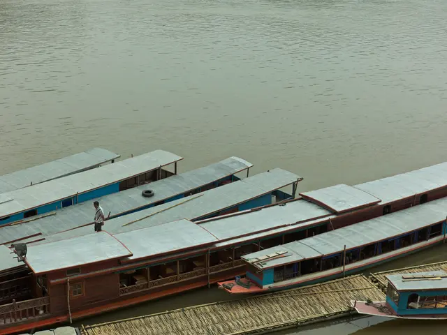 Scoprire un Momento Amaro: la Carità Trova il Corpo di un Paddle nel Lago del Parco Nazionale Dopo...