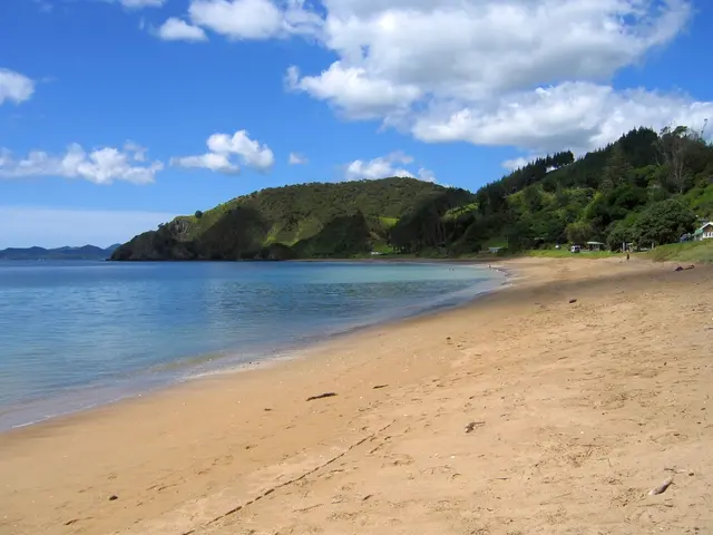 Proposte per l'estensione del Sentiero Costiero di Inghilterra da Kimmeridge Bay a Highcliffe, come...