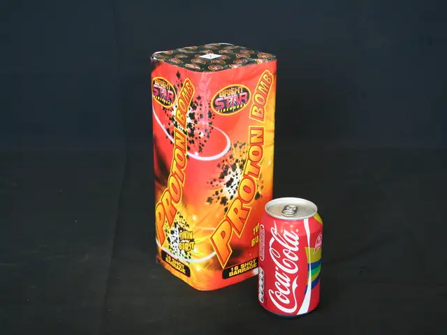 Nomine politiche nel primo Gabinetto di Tinubu del 1999: Un'occhiata ai ruoli di Osinbajo,...