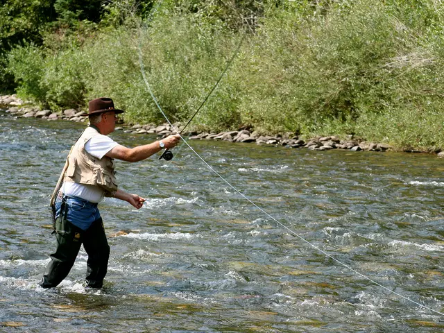 Cole Rivelano le Sue Considerazioni su Amaechi Dopo il Mio Conflitto con Fubara - Le Rivelazioni di...