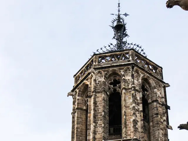 Le torri ristrutturate di Notre-Dame ora aperte al pubblico generale