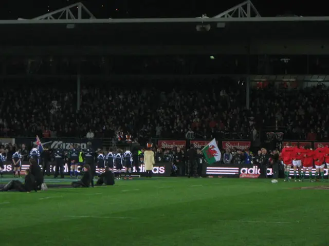 In cima all'immagine vediamo una griglia di ferro, altoparlanti e spettatori. In basso all'immagine...