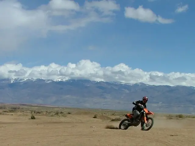 Come si può vedere nell'immagine, c'è erba, sondaggi attuali, un uomo che guida una motocicletta,...