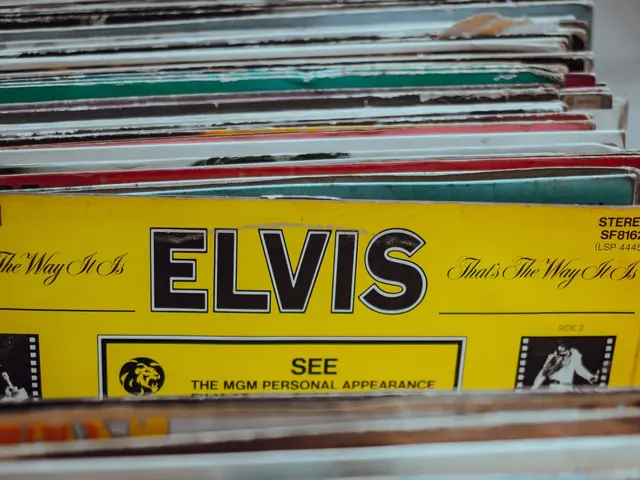 L'immagine mostra una pila di dischi di Elvis Presley posati su un tavolo. I dischi sono disposti...