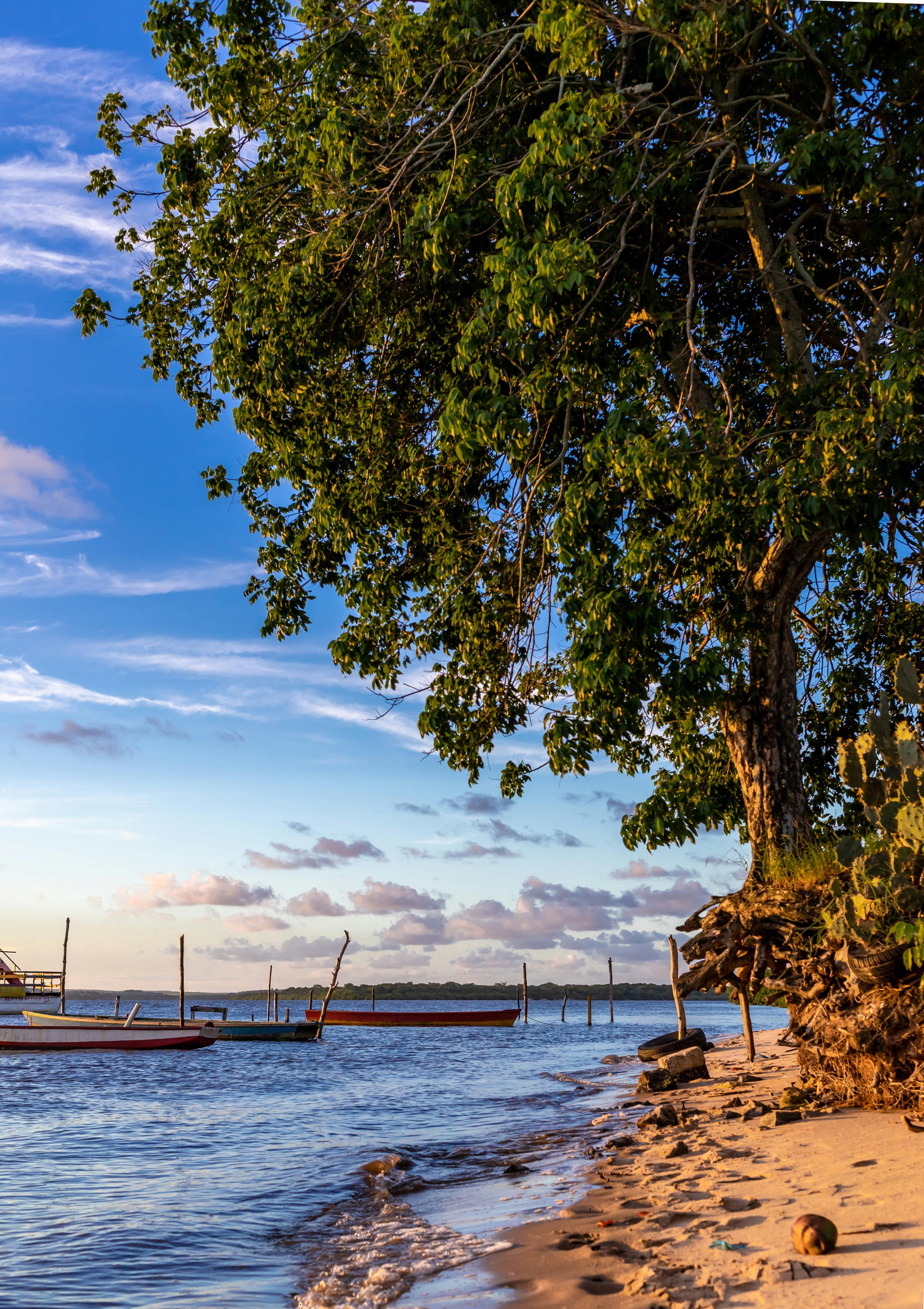 Persona catturata in una telecamera che si occupa di droga illegale Co-fondatore di Blue Tokai, Matt Chitrahanjan, ha vinto il titolo altamente ambito alla Founder Poker Series 2025.