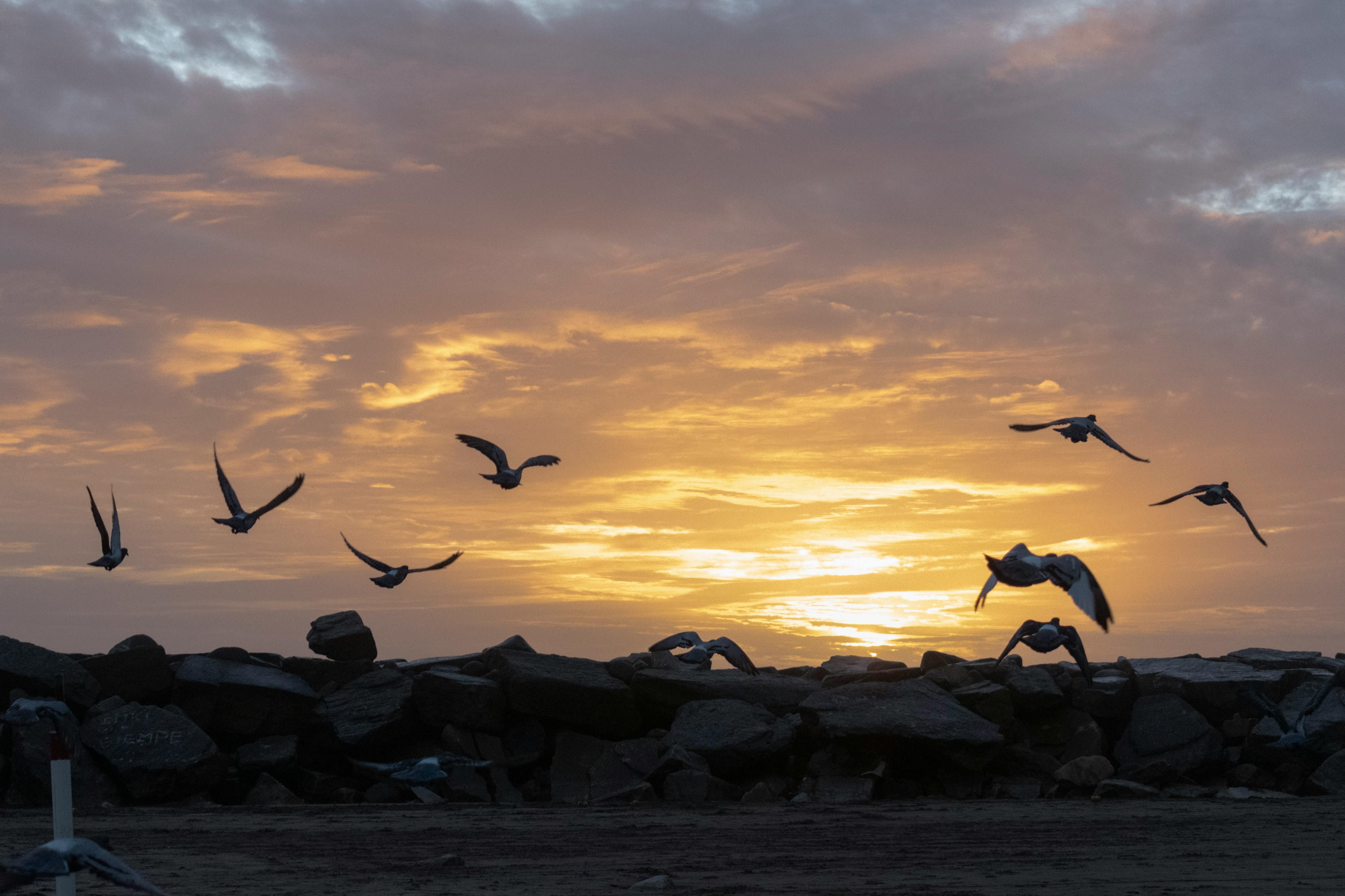 Raccolta di record di professionisti del settore del gioco d'azzardo attesa alle edizioni del 2025 di ICE e iGB Affiliate, come dichiarato dalla Clarion Gaming.