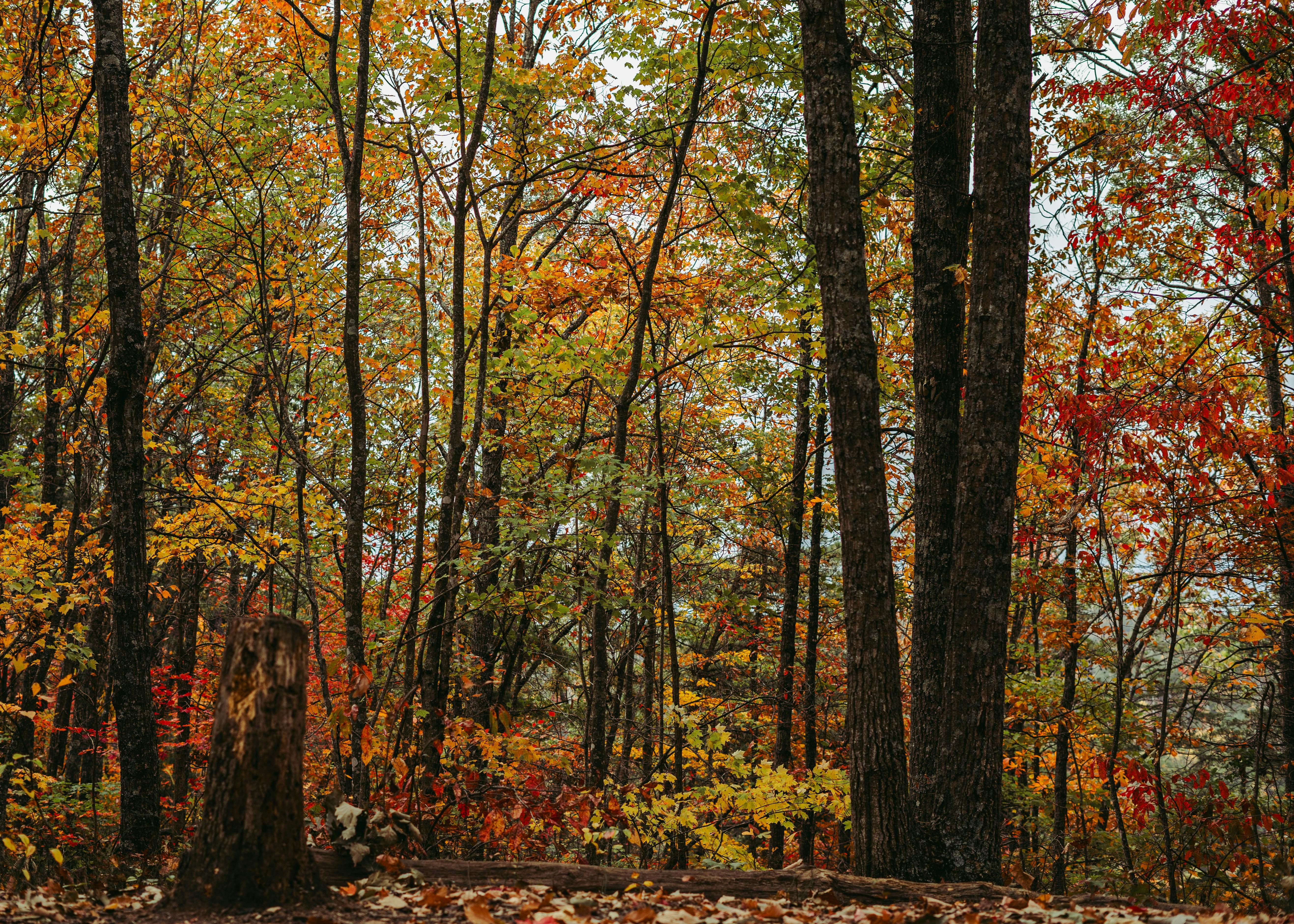 Nuovo casino a Bensalem, Pennsylvania tra le molteplici sedi di gioco dello stato