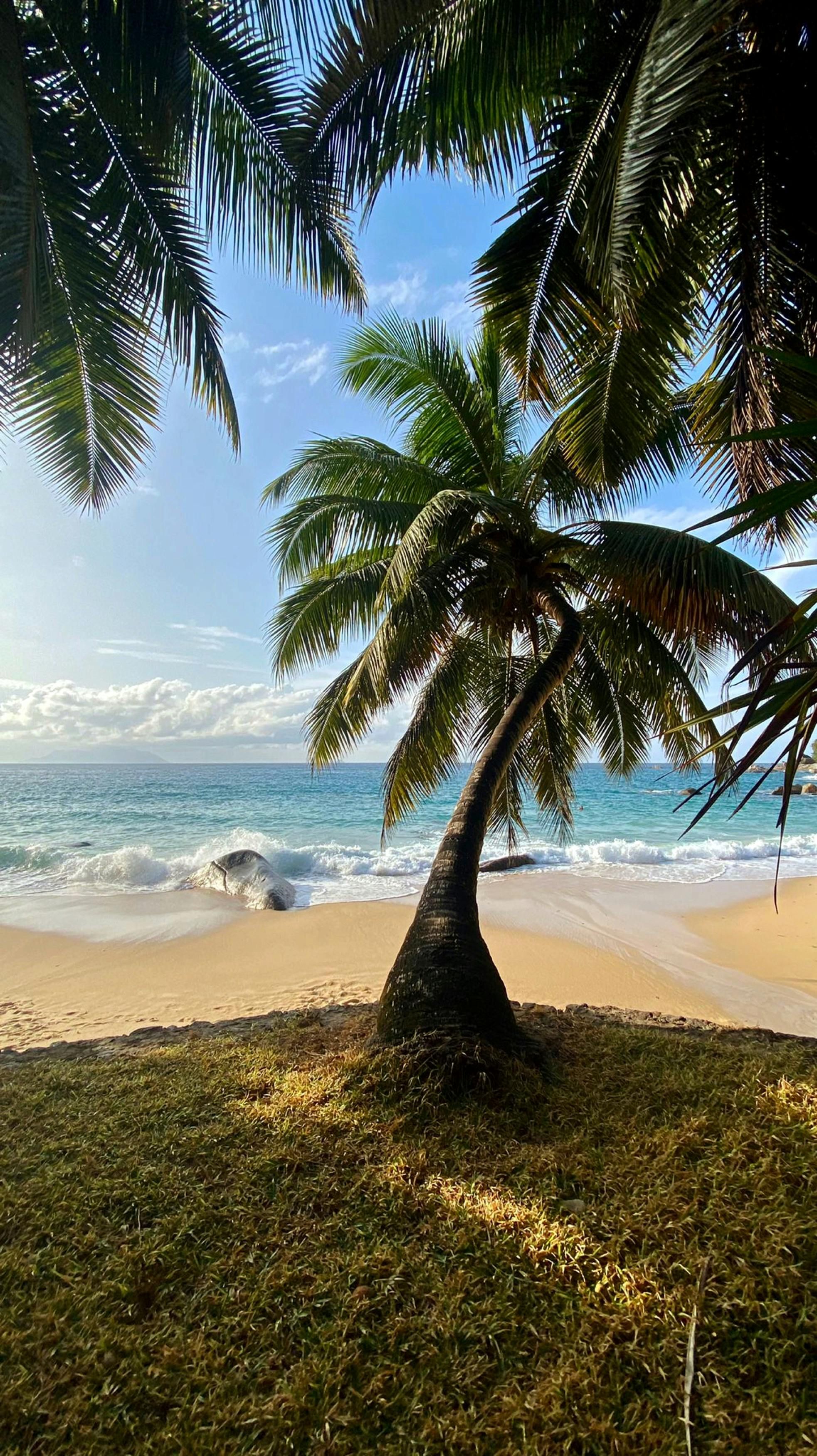 Eventi laterali concorrenti sono stati vinti da Rajesh Shukla e Archit Saraogi il quinto giorno di...