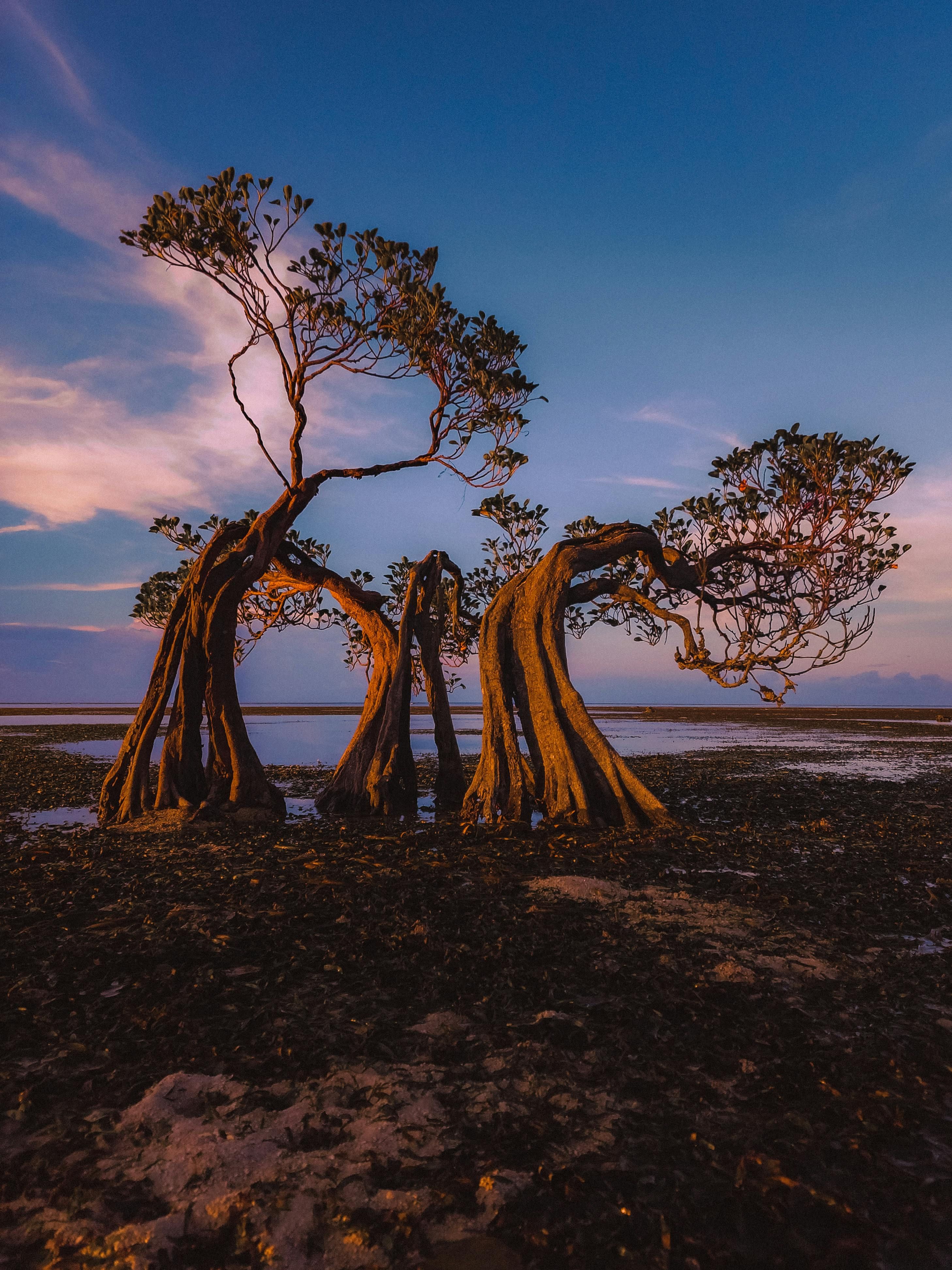 In teoria strategizzare le finanze nel gioco d'azzardo sembra semplice, ma metterla in pratica è impegnativo data l'importanza che hanno i casinò di trarre profitto dai loro clienti.