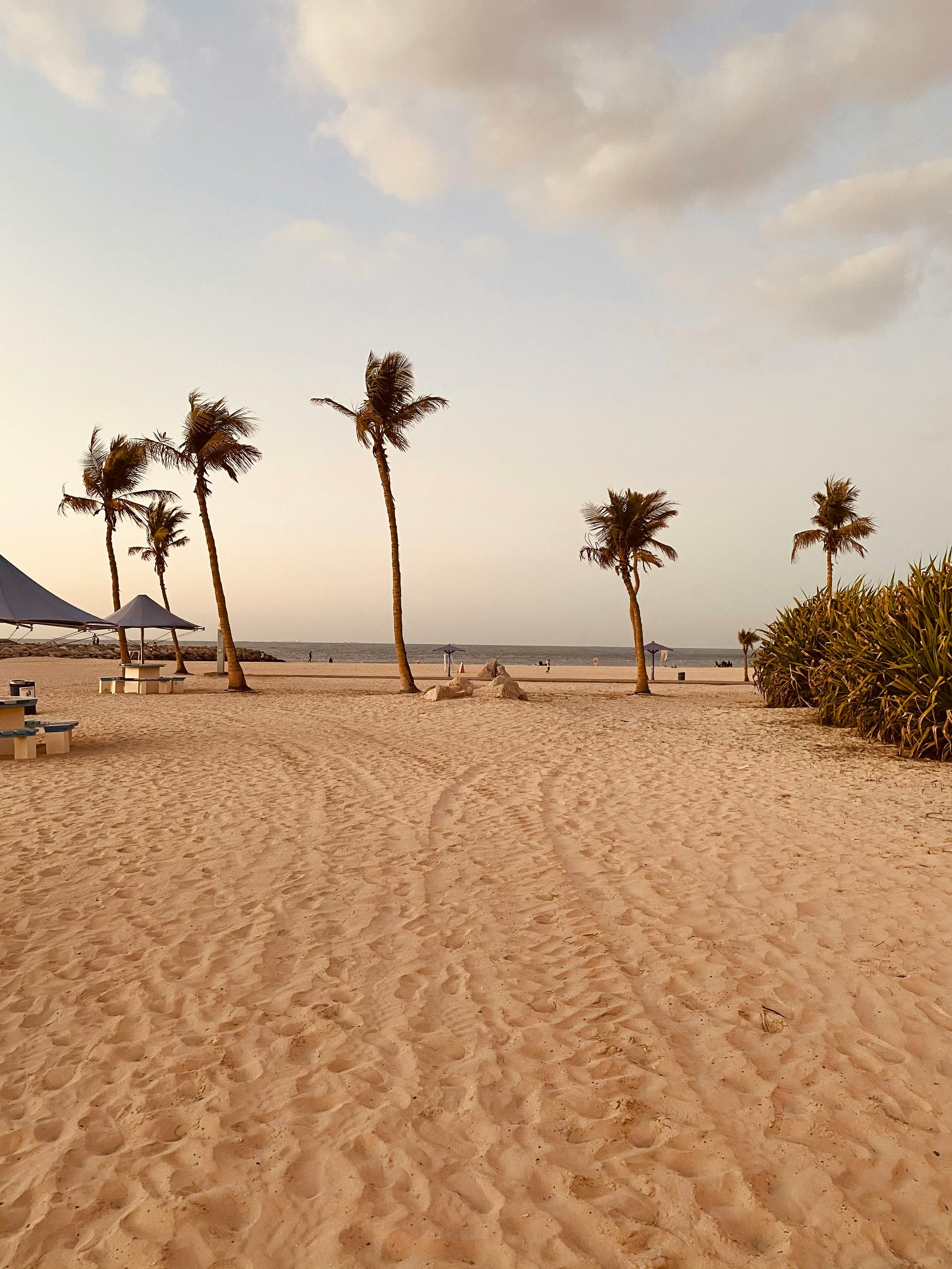 2024 La Riscossione delle Imposte sul Gioco in Germania Rimane Costante a €2,49 Miliardi, Principalmente dalle Slot Online e dal Poker; le Scommesse Sportive Registrano un Lieve Calo