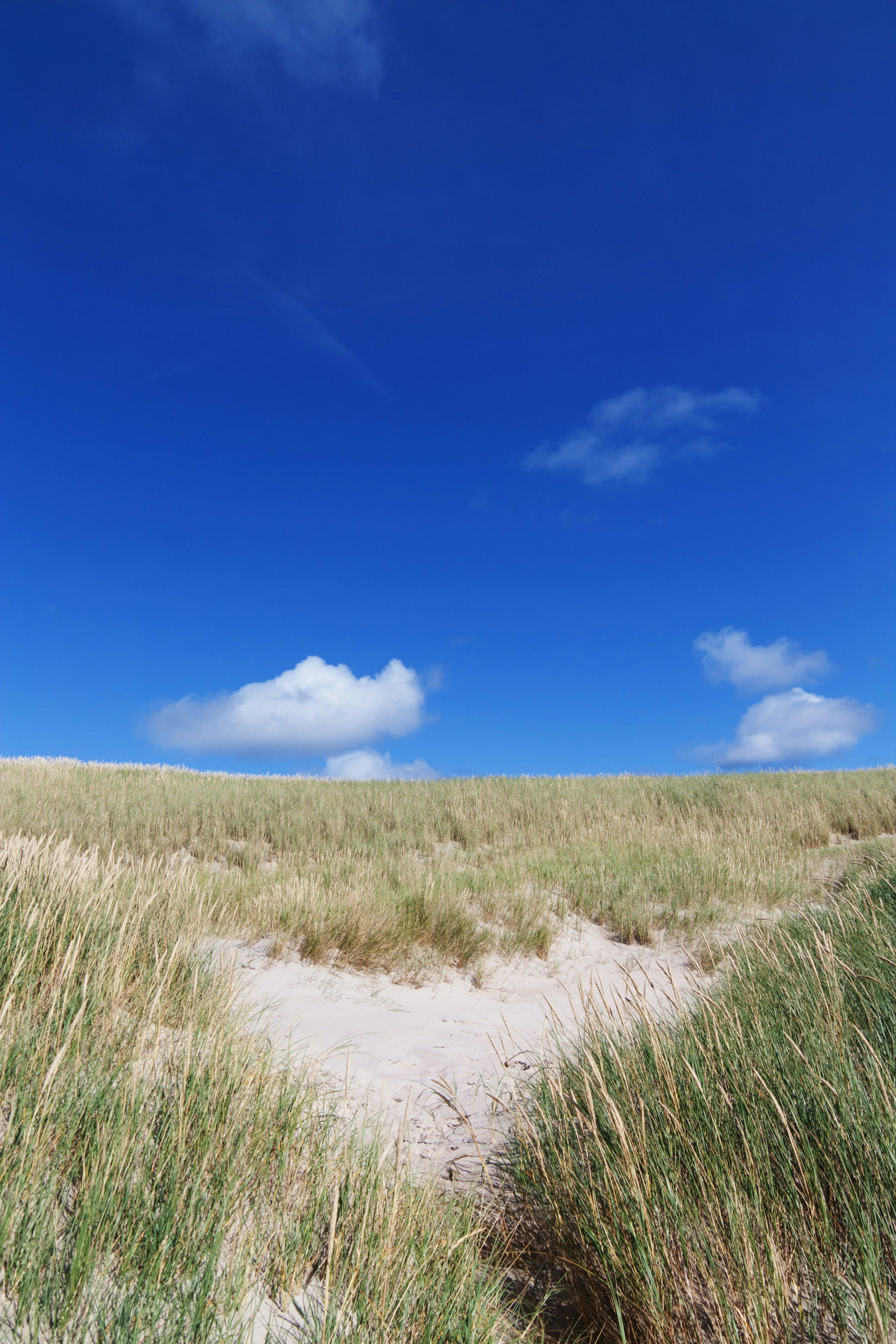 La serie di Bites di Netflix arriva al MGM Grand Hotel & Casino a Las Vegas