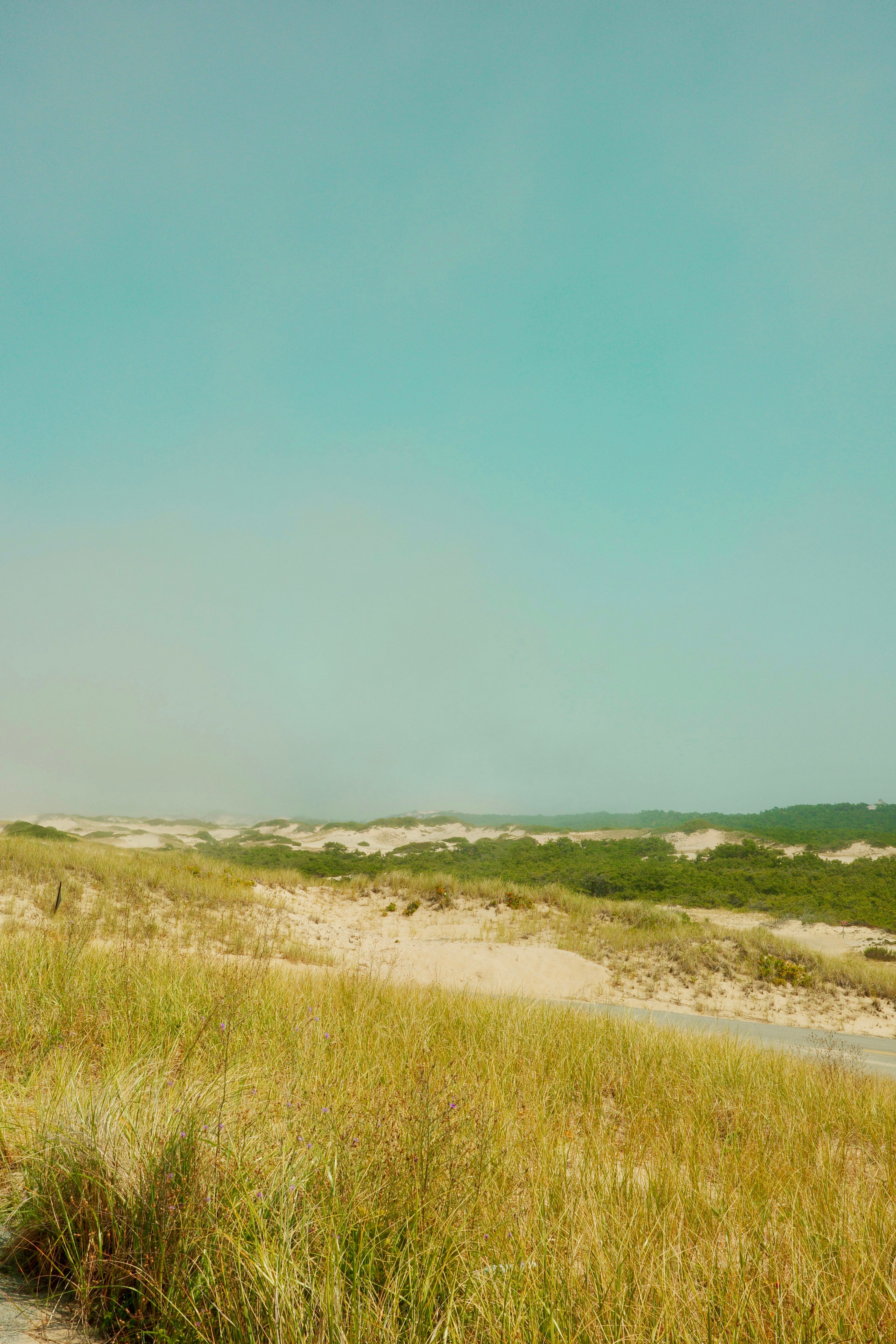 Avanguardie Nella Biotecnologia: Progressi nella Ingegneria Genetica, Innovazioni CRISPR e Sviluppi...